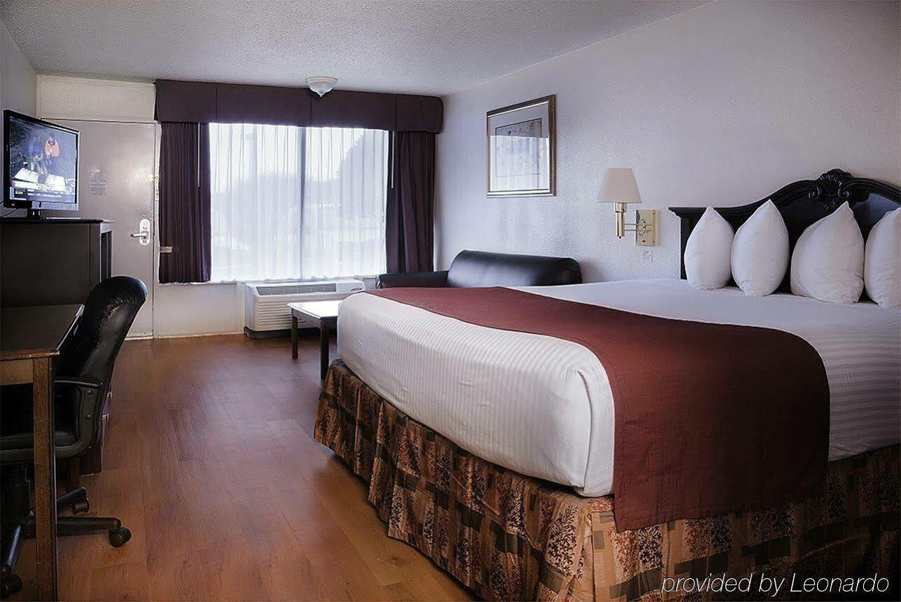 Best Western Greenville Airport Quarto foto